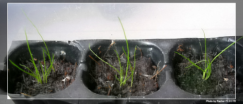 ���˲���