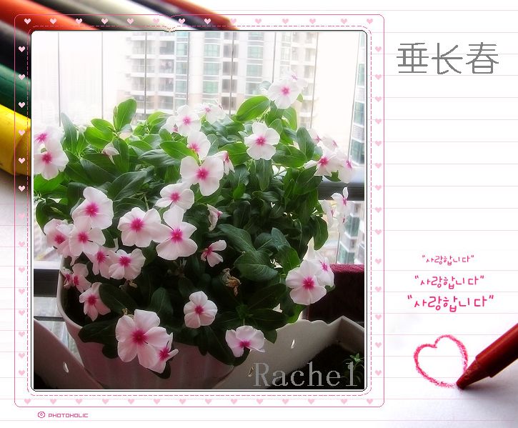 ��ܵĴ�����������