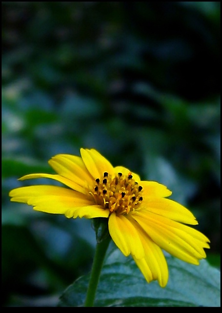 IMG_8534���� 1.jpg