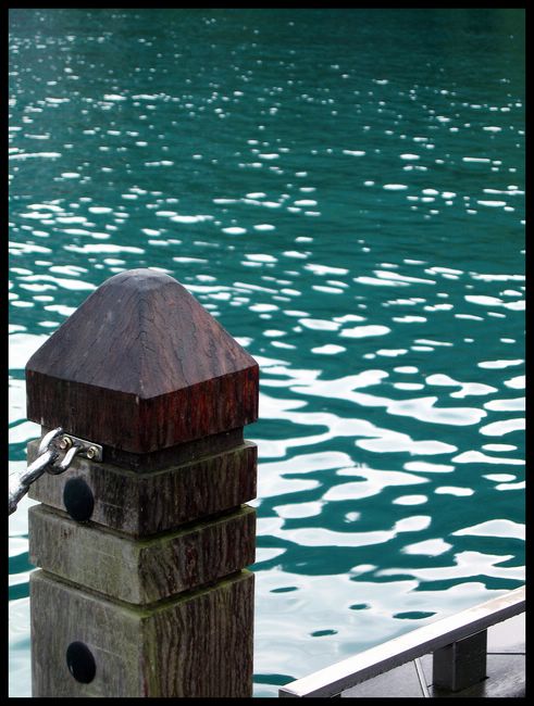 IMG_8114���� 1.jpg