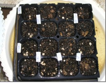 ����ɫ���ʹ�����2�ܶ�û�ж�����ֻ�к϶��Ƿ���һ��