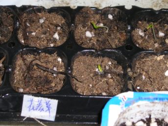 ����ݲ���2�ܷ�ѿ3��