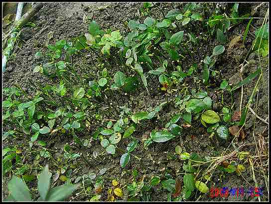 ��֪�ܻ���٣�