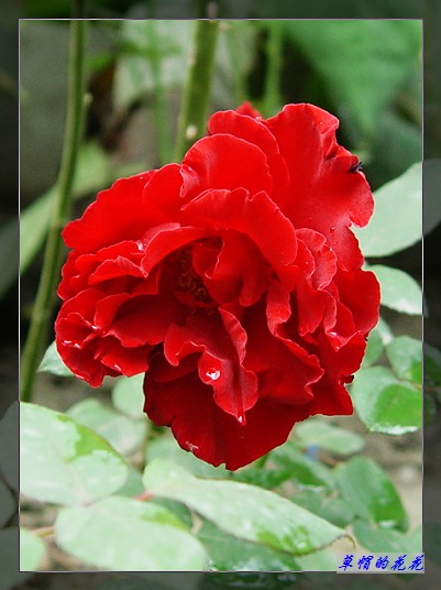 ���ò��ÿ����Ǻ����Ʒ��