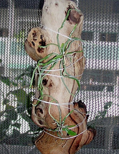 050902-1.jpg