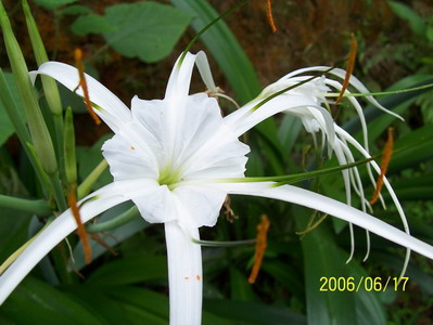 100_1646.jpg