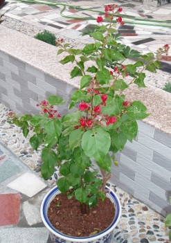 10��29���ĵģ����Ͳ��ÿ���Ӧ��Ҫ��ô�޼�