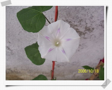 ԲҶţ10.18.jpg