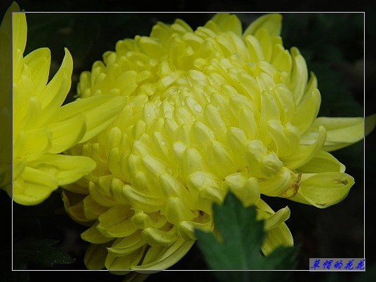 �żһ�԰2005-10 045.jpg