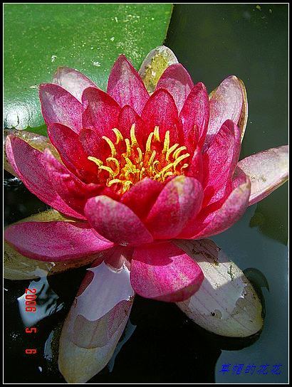 �żһ�԰2006 278.jpg