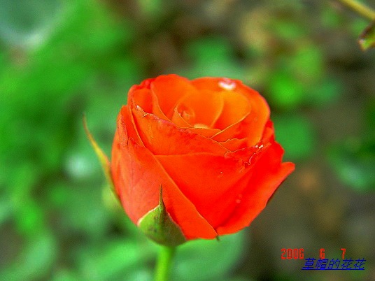 �żһ�԰2006 344.jpg