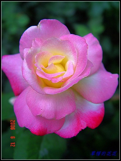 �żһ�԰2006 383.jpg