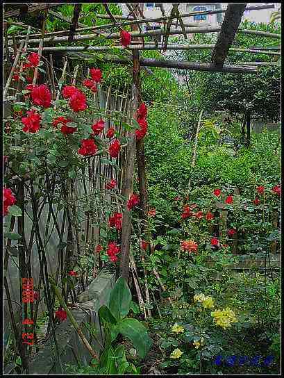 �żһ�԰2006 218.jpg