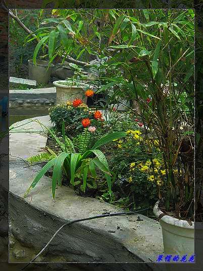 �żһ�԰2005-10 041.jpg