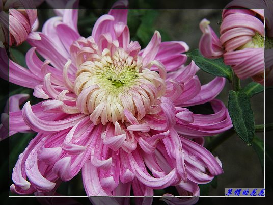 �żһ�԰2005-10 047.jpg