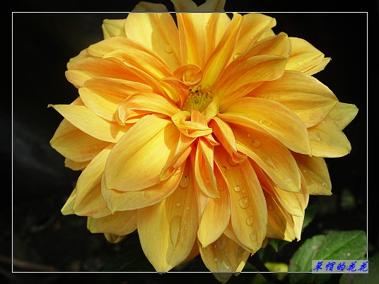 �żһ�԰2005-10 130.jpg