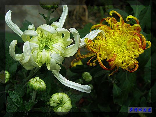 �żһ�԰2005-10 025.jpg