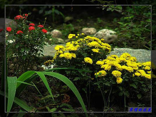 �żһ�԰2005-10 009.jpg