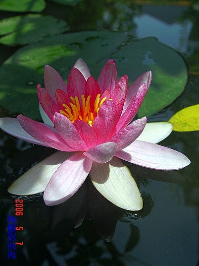 ��һ��˯��