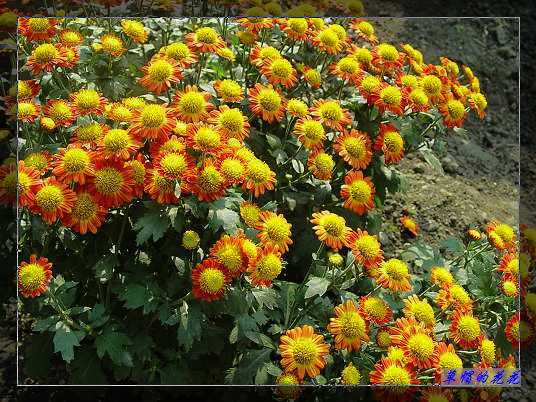 �żһ�԰2005-10 132.jpg