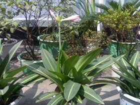 20061002274a.jpg