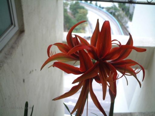 200612117574456964.jpg