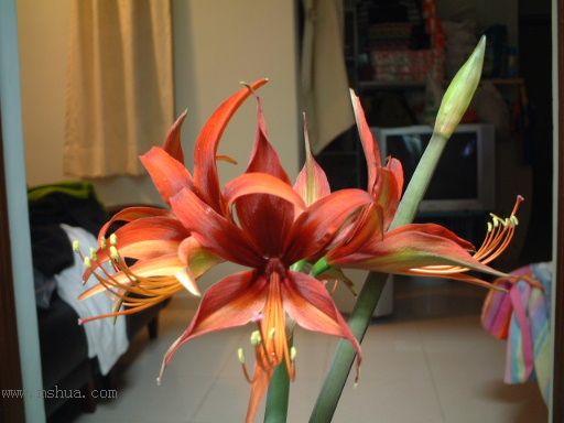 2006141223286351.jpg