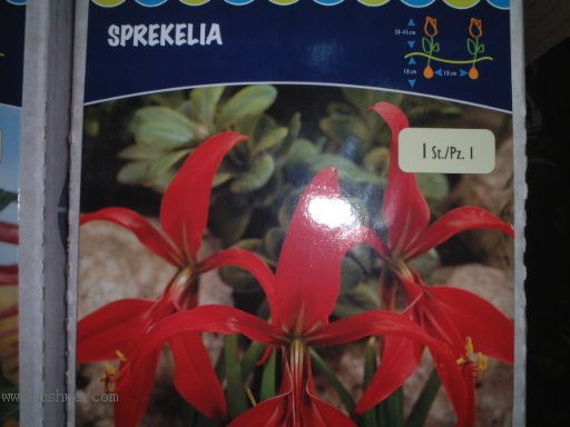 20063322501354826.jpg