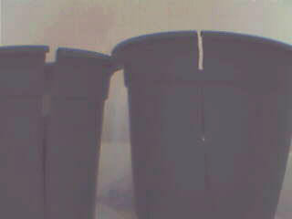 ����XA100��ɫ�Ŀ���