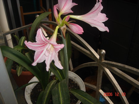 ����һ��,