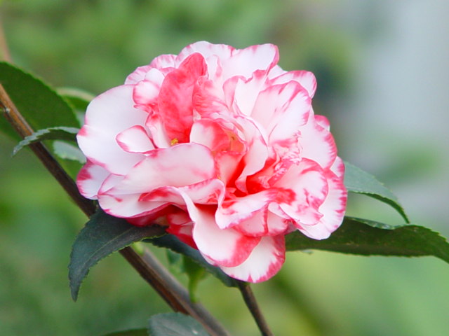 DSC05809.JPG