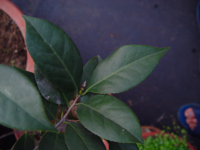 DSC05959.JPG