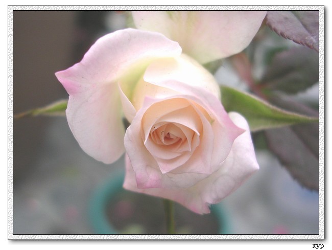 DSCN4019.jpg