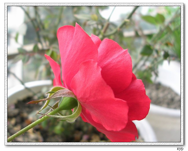 DSCN4124.jpg