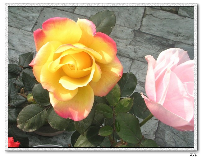 DSCN4175.jpg