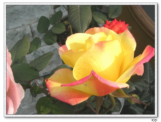 DSCN4176.jpg