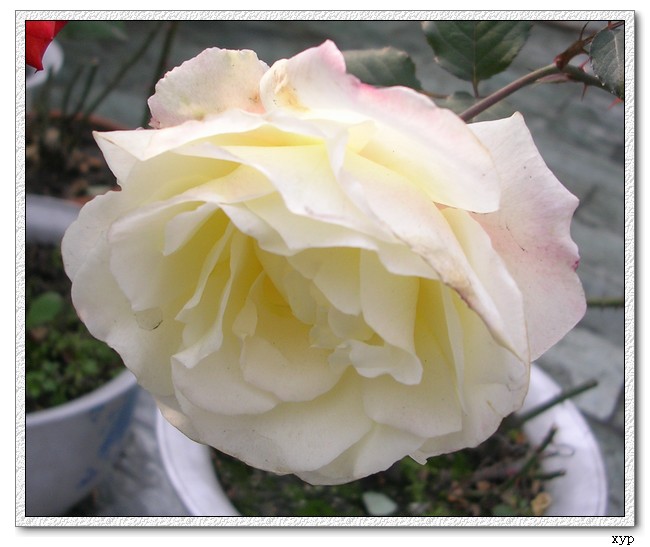DSCN4182.jpg
