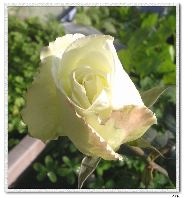 DSCN4198.jpg