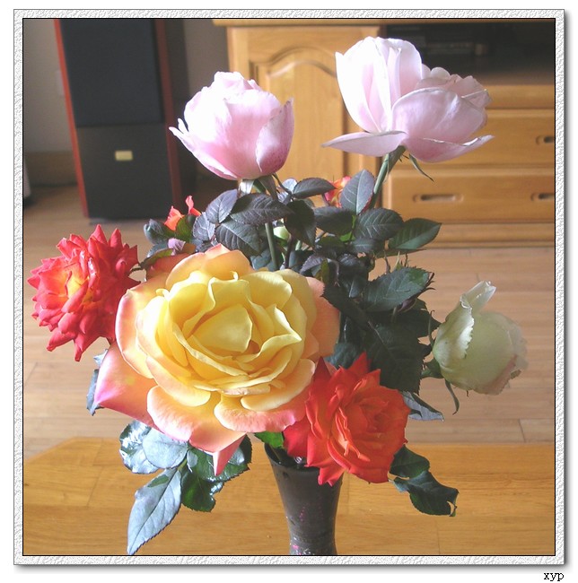 DSCN4231.jpg