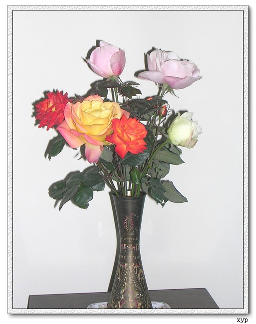 DSCN4260.jpg