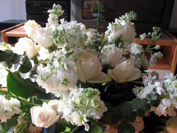 IMG_1037_resize.JPG