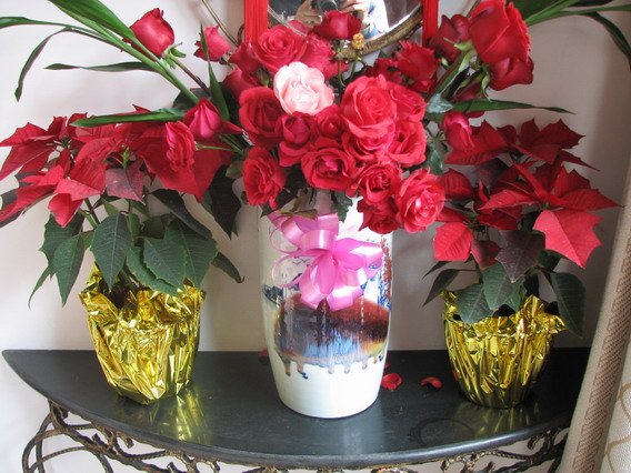 IMG_1040_resize.JPG