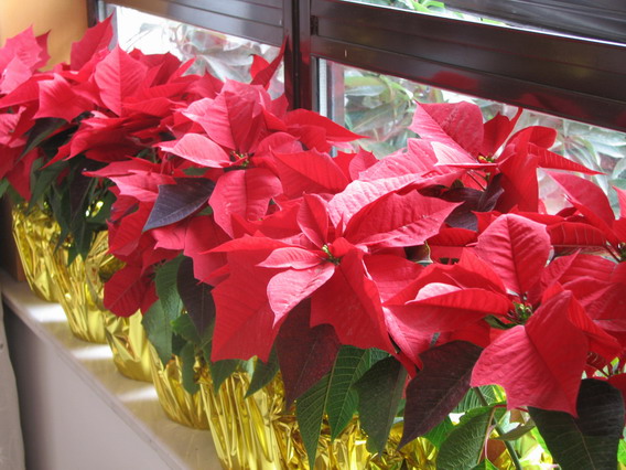 IMG_1044_resize.JPG
