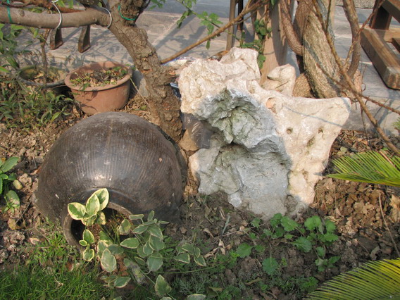 IMG_1060_resize.JPG