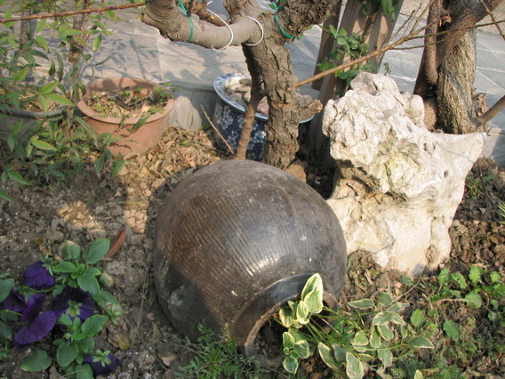 IMG_1063_resize.JPG