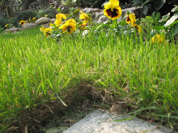 IMG_1066_resize.JPG