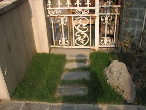 IMG_1078_resize.JPG