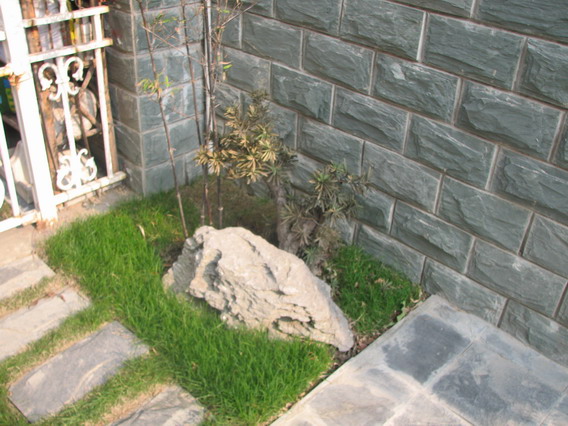 IMG_1080_resize.JPG