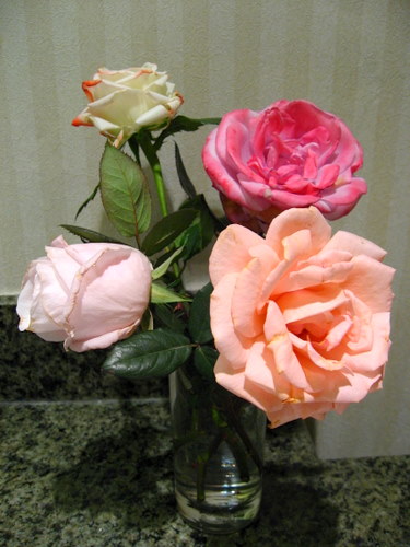 IMG_3491.JPG