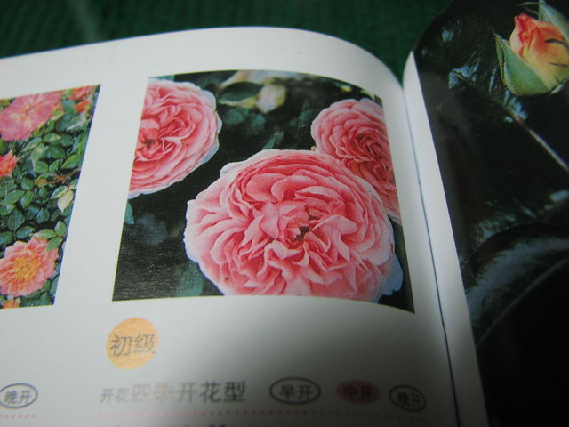 ���˵Ľ���